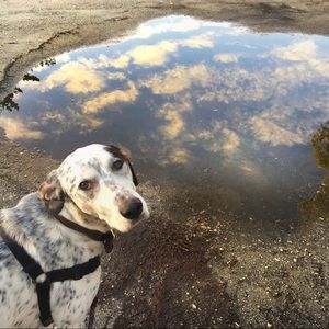 Meet your Posher, Aalie